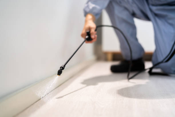 Licensed Bed Bug Control service in Shawnee County County, KS - Nex Pest Control