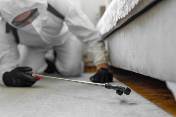 Professional Bed Bug Control technician working in Shawnee County County, KS